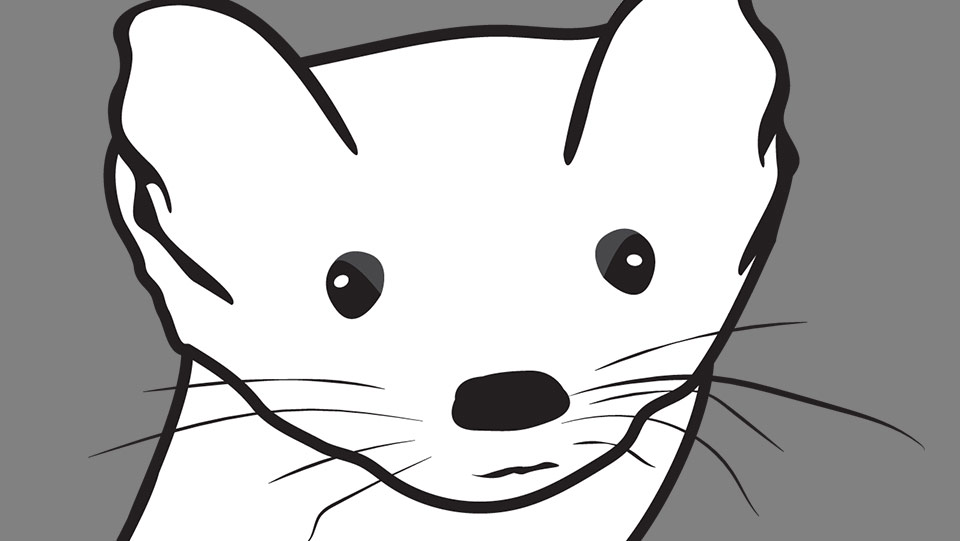 Page - Name Weasel - Image 3