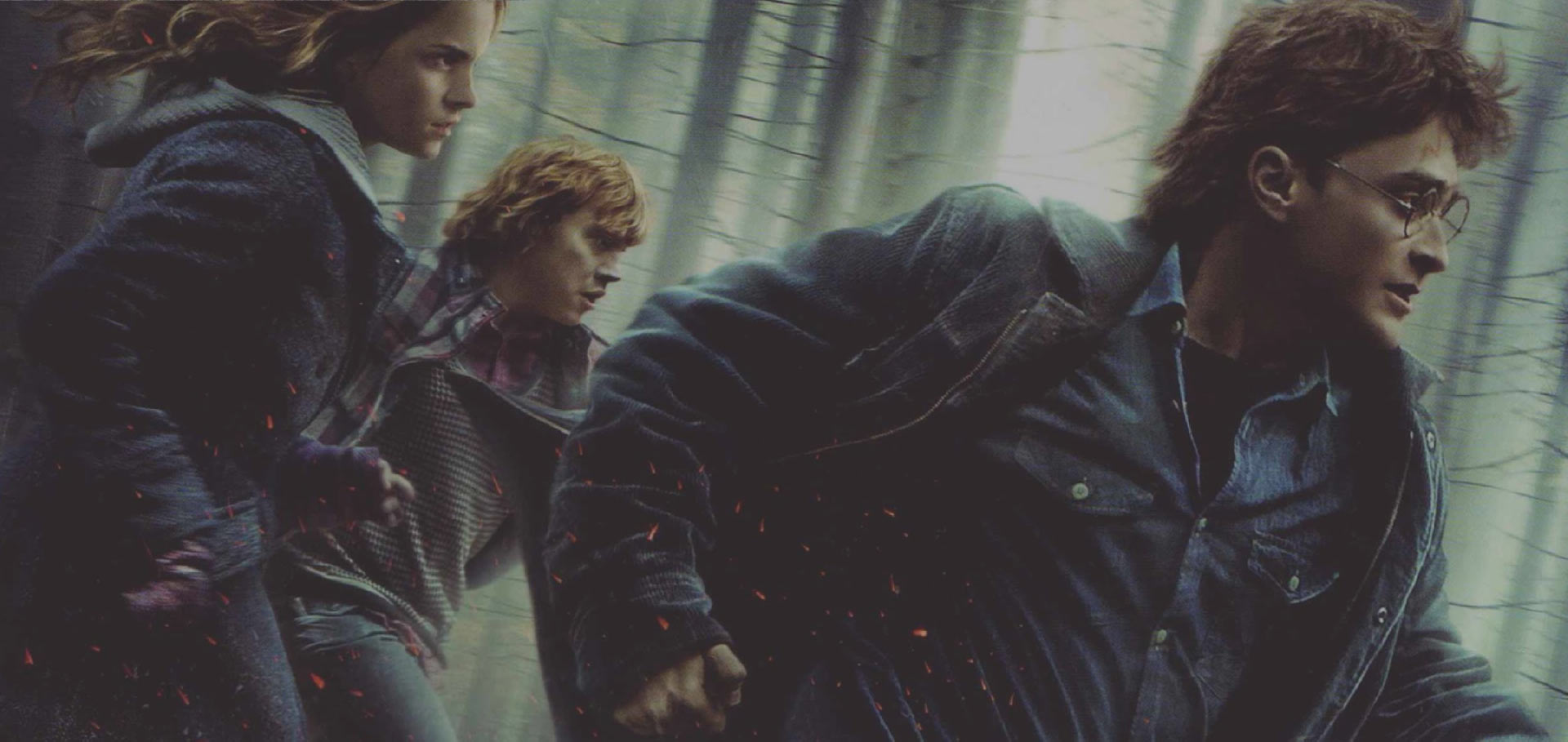 Project - Harry Potter - Poster